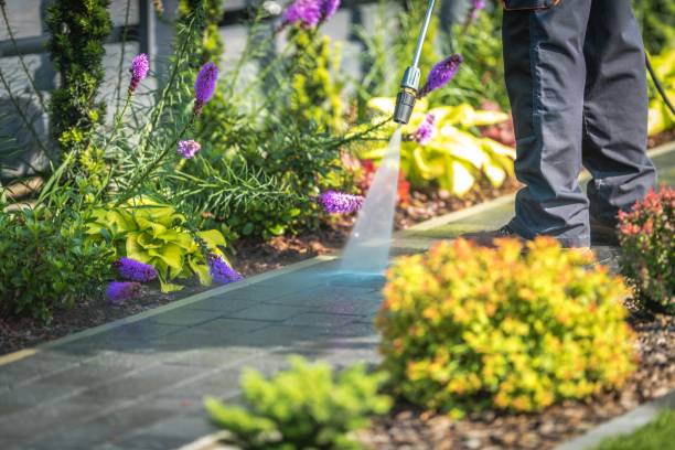 Best Parking Lot and Garage Cleaning  in Valdese, NC